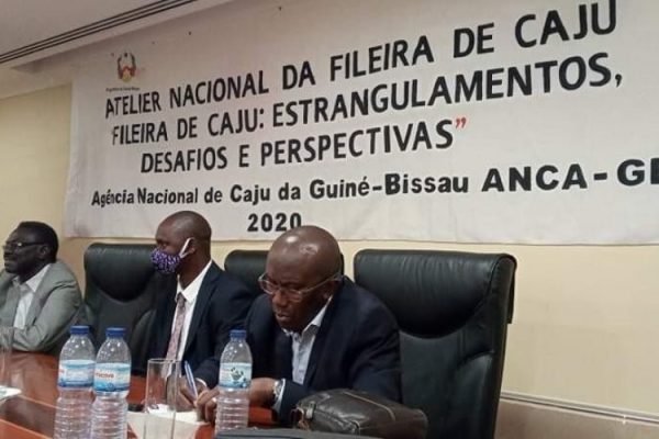 A ANCA organiza um ateliê sobre o cajú