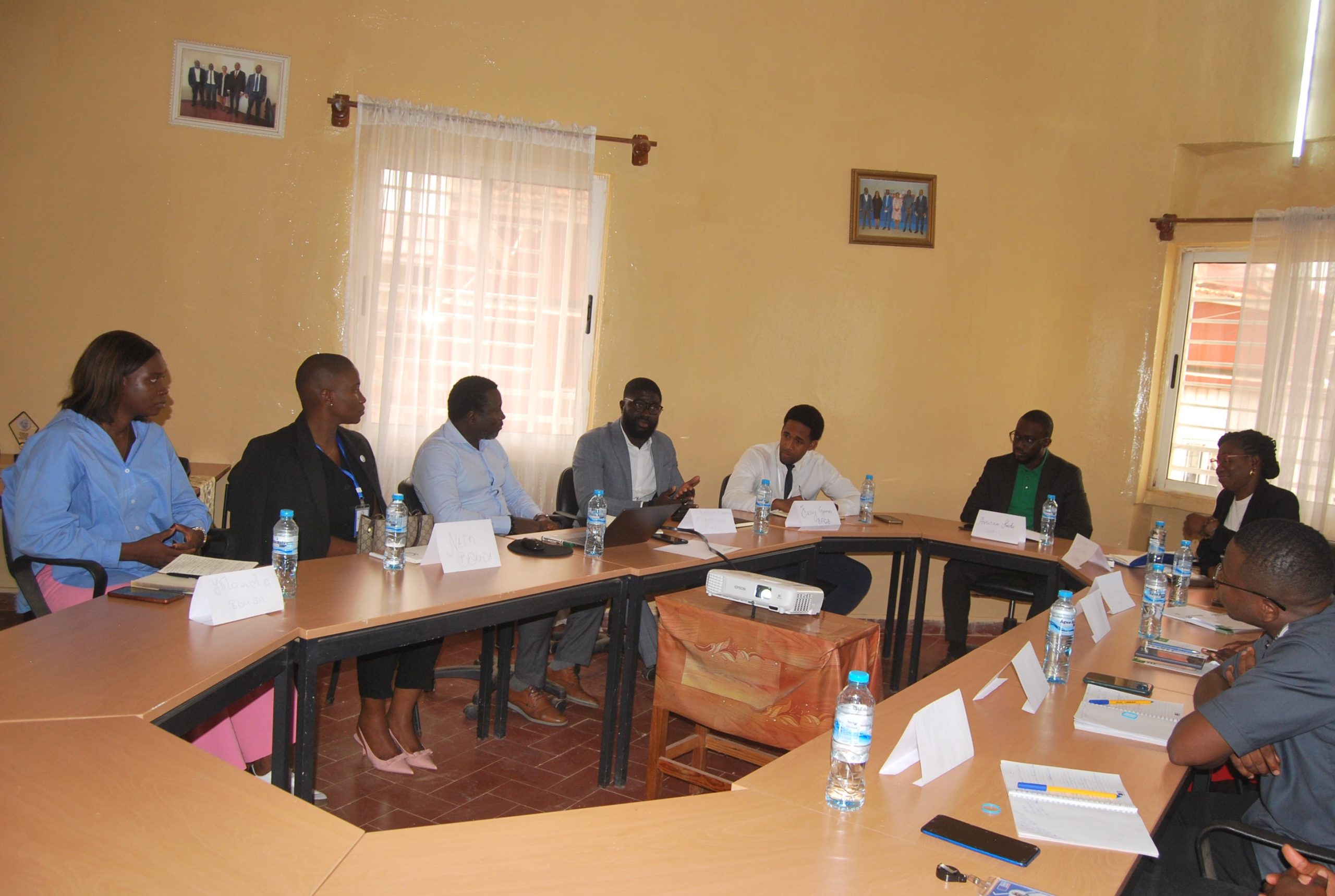 Gestão e recuperação de créditos malparados